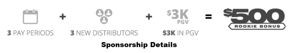 Sponsorship details